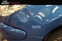 AutoExpert - Reparatur der gehagelten Kraftfahrzeugschäden ohne Verkittung und Neulackierung!  Tel: +40-741676207